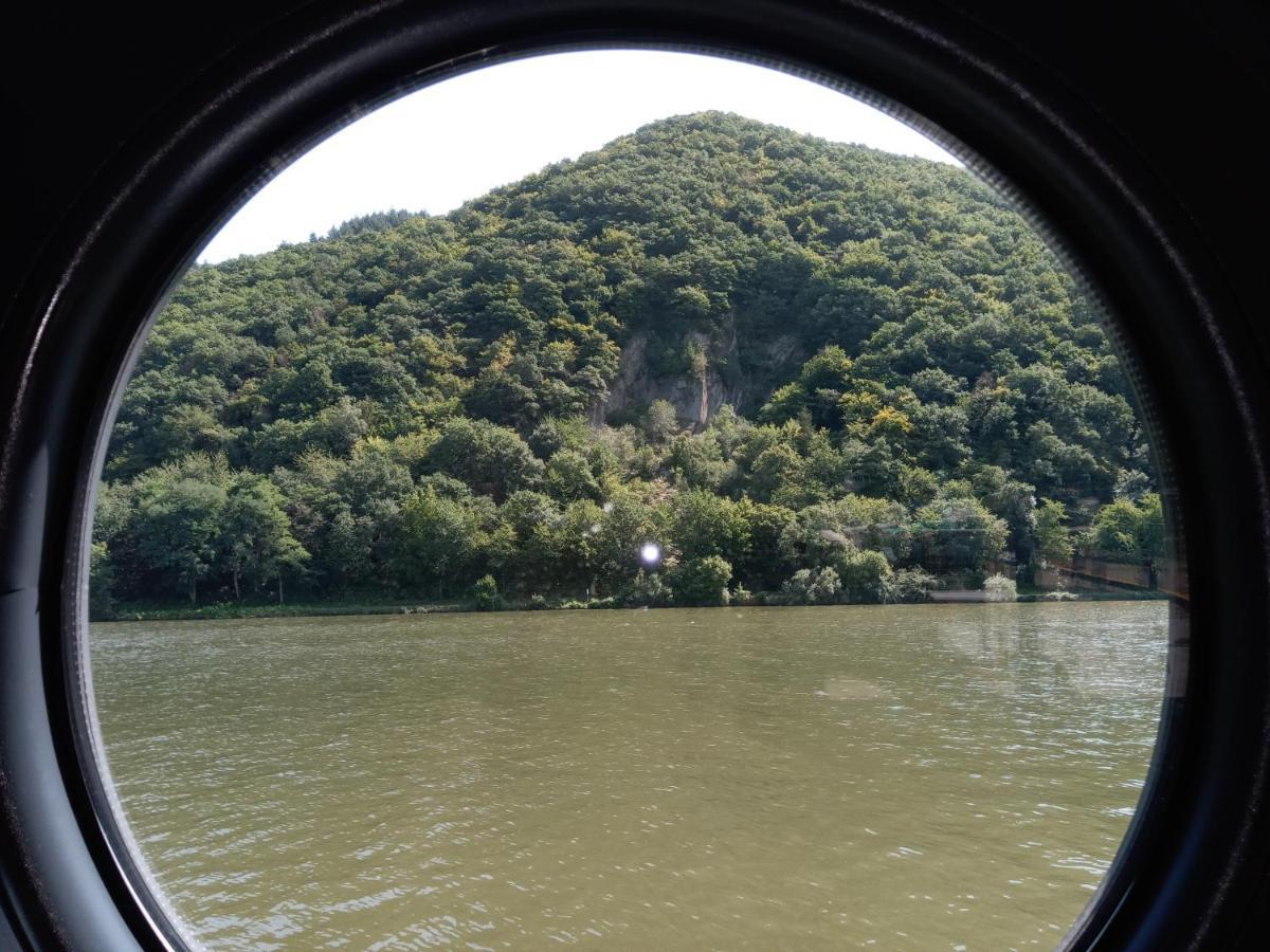 Hausboot Moselrose In Poelich 호텔 Polich 외부 사진